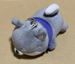 ニコぬいキーホルダー 柴犬