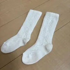 コンドル　靴下