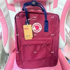 カンケンリュックサック バッグ フェールラーベン 大容量16L パープル