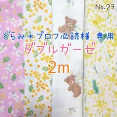 どらみ＊プロフ必読様　専用です