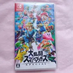 大乱闘スマッシュブラザーズ　Switch