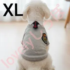 Item thumbnail for item 8562b638-6764-4fd0-ad14-203ef9f4afb9