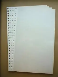 t*y様 無印良品 台紙に書き込めるアルバム用リフィールフリー台紙　バラ4枚のサムネイル