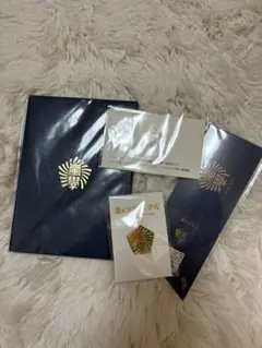 嵐　ワクワク学校　グッズ