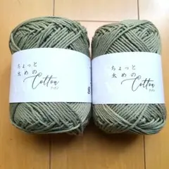 ちょっと太めのコットン 2個セット