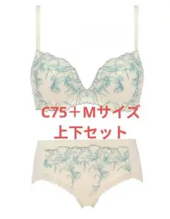 新品　トリンプ　天使のブラ　スリムライン　極上ライト　上下セット