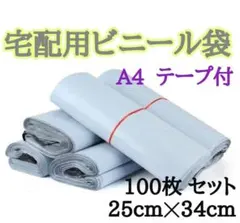 宅配用ビニール袋 A4 テープ付 100枚セット 25cm×34cm