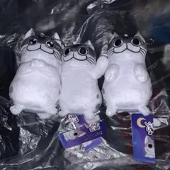 2025年最新】ブロマイドまとめ売りの人気アイテム - メルカリ