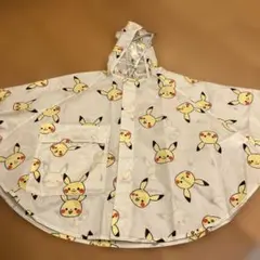 マンスリー ピカチュウ 梅雨 レインコート ぬいぐるみ ポケモン