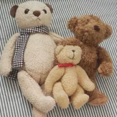 ☆ぬいぐるみ テディベア くま 三体 ソイアニマル