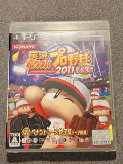 実況パワフルプロ野球2011決定版