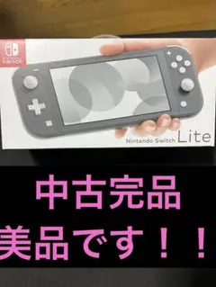 Nintendo Switch Lite グレー 本体中古完品
