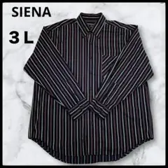 SIENA ストライプシャツ 3L 長袖シャツ　大きいサイズ