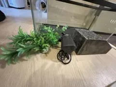 亀カメ水槽　セット