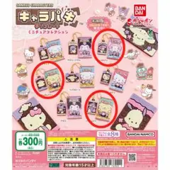 サンリオキャラクターズ キャラパキ ミニチュアコレクション 3種