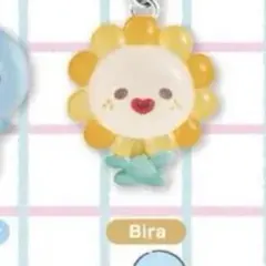 JOCHUM めじるしアクセサリー　ビラ　1