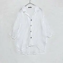 シュリーブ アベイル シアーブラウス シャツ L ホワイト 長袖 Vネック