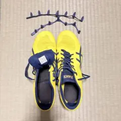 Item thumbnail for item 2d7e1fe2-0e79-4219-b8bc-b1ca765f1b9f