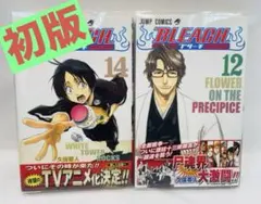 裁断済] BLEACH 小説 完結全巻セット - メルカリ
