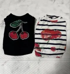as know as Tシャツ2枚セット　MDサイズ
