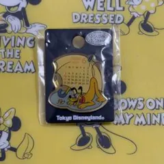 東京ディズニーランド カレンダー ６月 ピン