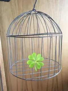 2025年最新】Actus 小物入れの人気アイテム - メルカリ