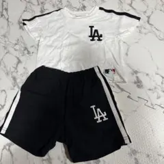 プティマイン LA セットアップ