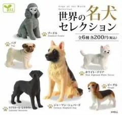 全６種フルコンプセット【世界の名犬セレクション】ガチャ いぬ イヌ 犬フィギュア