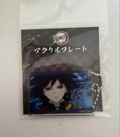 冨岡義勇 アクリルプレート 全集中展 アクリルキーチェーンマスコット 鬼滅の刃