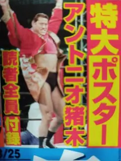 2026年最新】アントニオ猪木ポスターの人気アイテム - メルカリ