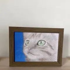 J28「サバトラちゃん」色鉛筆画 手描き原画 一点物 はがきサイズ