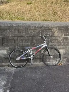 2018 SE MINI RIPPER 子供用のサムネイル