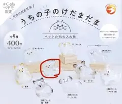 うちの子けだまだま　丸たれみみ