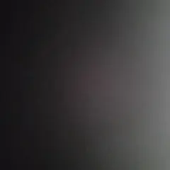 専用です