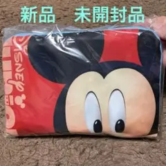 新品未使用品ディズニージュニアオリジナル折りたたみリュック