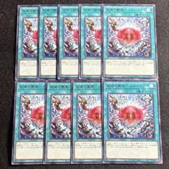 ◉トム郎の羽根帚様 リクエスト 3点 まとめ商品