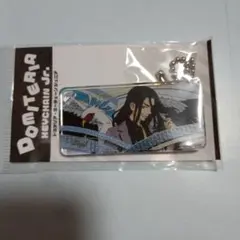 東京リベンジャーズ　Graceful leap 場地圭介