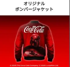 スタジャン ダウンジャケット