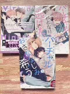 バーチャルくんはおとなりさんから逃げたい　バーチャルくんはおさななじみを希う