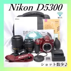 Nikon D5300 デジタル一眼レフ シャッター数4000回 - メルカリ