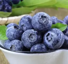 ①最高級採れた新鮮ブルーベリー　超希少秀品　入荷当日発送　残り僅か特別価格