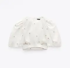 ZARA パフスリーブ 刺繍 クロップドトップスのサムネイル