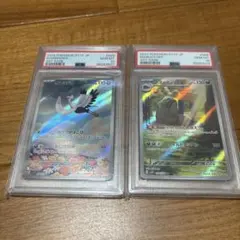 2023 オトシドリ、マフィティフセット