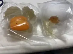 殻からの脱出　カプセルトイ マスコット 2種セット