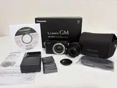 動作確認済】Panasonic LUMIX GM1 ブラック ミラーレス一眼 - メルカリ