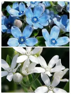 のbil様 リクエスト 2点 まとめ商品