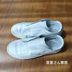 Item thumbnail for item 638d87a3-c8b1-4441-8933-e9bfd355d8d4