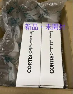 CORTIS official light stick コルティス 2個