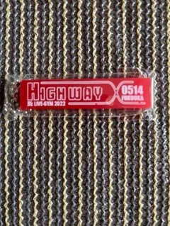 B'z　HIGHWAY Xツアーパーカー XL 新品　おまけつき B'z Highway Xライブグッズの骨パーカーはネイバーフッドの