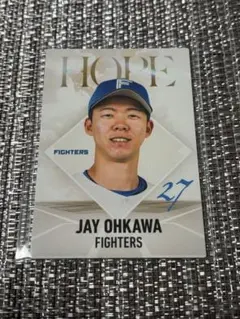 プロ野球チップス ファイターズ 大川慈英